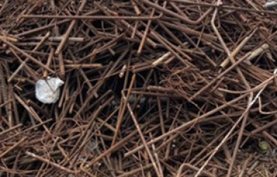 Thu mua phế liệu công trình  Xây Dựng