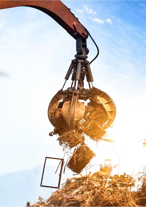 Đồng hành cùng môi trường xanh